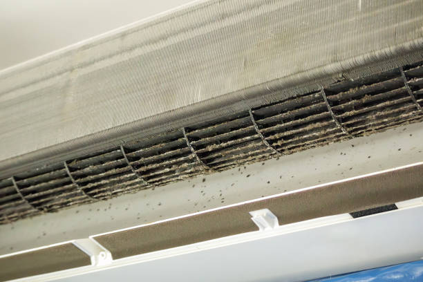 Best Best Air Duct Cleaning Company  in Bradley, WV